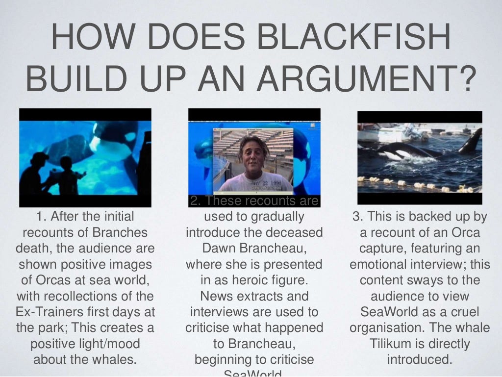 thesis statement about the film blackfish