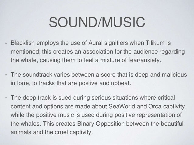 Blackfish documentary conclusion image