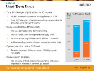TSX:P I NYSE:PPP I 14
BLACK FOX
Short Term Focus
Increase underground throughput
o Total 2014 budget of $48 million for 10 months
 45,350 metres of exploration drilling planned in 2014
 Only 32,950 metres of exploration drilling completed at the
Black Fox Mine from 2010 to 2013
o Increase underground throughput:
 Increase delineation and definition drilling
 Increase short term development drifting by 150%
 Increase active long-hole stopes to 3 (from 1 currently)
 Add new underground equipment to improve productivity
o Open exploration drift at 520 level
 Provides improved drilling access to 2013 high-grade
intercepts
o Increase open-pit grade:
 Pre-stripping of third phase is now complete and grades
expected to increase as benches get deeper
-
500
1,000
1,500
2,000
2,500
Q1 2014 Q4 2014E
Black Fox Throughput Target
(TPD)
Open Pit
Open Pit
U/G
U/G
 
