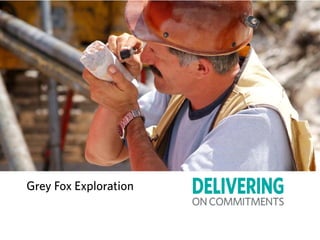Grey Fox Exploration
 