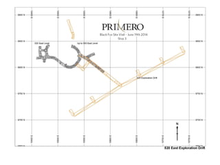 TSX:P I NYSE:PPP I 35
 