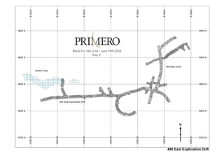TSX:P I NYSE:PPP I 36
 