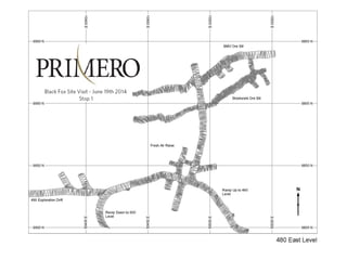 TSX:P I NYSE:PPP I 37
 