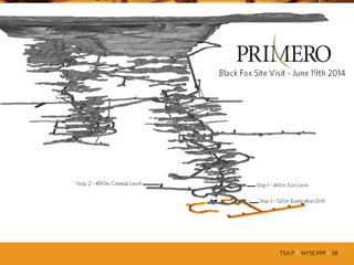 TSX:P I NYSE:PPP I 38
 