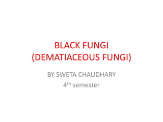 BLACK FUNGI
(DEMATIACEOUS FUNGI)
BY SWETA CHAUDHARY
4th semester
 