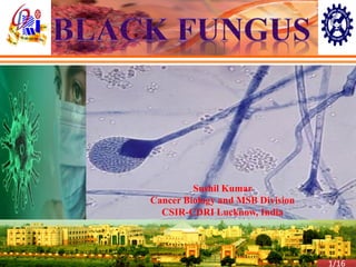Genes and Cancer
Sushil Kumar
Cancer Biology and MSB Division
CSIR-CDRI Lucknow, India
1/16
 