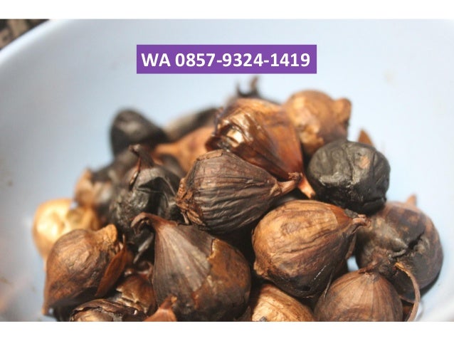 Cara Makan Bawang Hitam yang Benar WA 085793241419