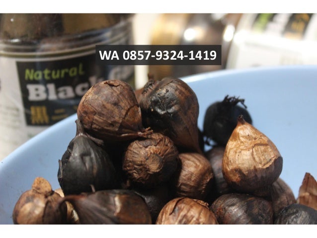 Khasiat Bawang Hitam Dan Efek Sampingnya Informasi