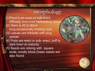 morphology
(1)Plant is an erect or sub-erect,
diffusely branched herbaceous annul
(2) Stem is 20 to 80cm
long,occasionally trrailing type.
(3) Leaves are trifoliate with long
petiole
(4) Pods are erect or sub- erect, buff to
dark brwn at maturity
(5) Seeds are oblong with square
ends, mostly block,Green seeds are
also found
 