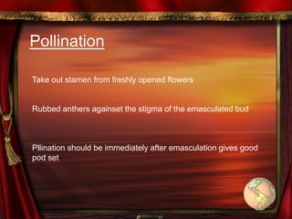 Pollination
Take out stamen from freshly opened flowers
Rubbed anthers againset the stigma of the emasculated bud
Pllination should be immediately after emasculation gives good
pod set
 