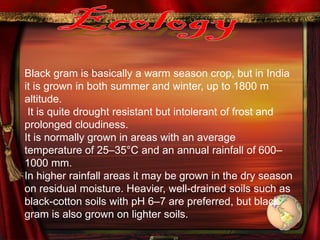 Black gram is basically a warm season crop, but in India
it is grown in both summer and winter, up to 1800 m
altitude.
It is quite drought resistant but intolerant of frost and
prolonged cloudiness.
It is normally grown in areas with an average
temperature of 25–35°C and an annual rainfall of 600–
1000 mm.
In higher rainfall areas it may be grown in the dry season
on residual moisture. Heavier, well-drained soils such as
black-cotton soils with pH 6–7 are preferred, but black
gram is also grown on lighter soils.
 