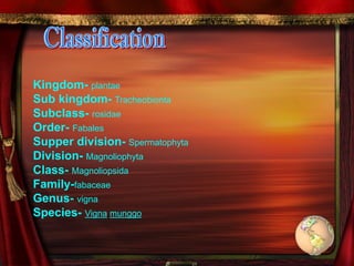 Kingdom- plantae
Sub kingdom- Tracheobionta
Subclass- rosidae
Order- Fabales
Supper division- Spermatophyta
Division- Magnoliophyta
Class- Magnoliopsida
Family-fabaceae
Genus- vigna
Species- Vigna munggo
 