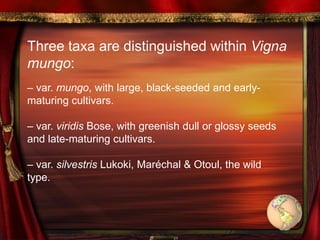Three taxa are distinguished within Vigna
mungo:
– var. mungo, with large, black-seeded and early-
maturing cultivars.
– var. viridis Bose, with greenish dull or glossy seeds
and late-maturing cultivars.
– var. silvestris Lukoki, Maréchal & Otoul, the wild
type.
 
