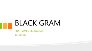 BLACK GRAM
PRATHAMESH KUDALKAR
13FET1011
 