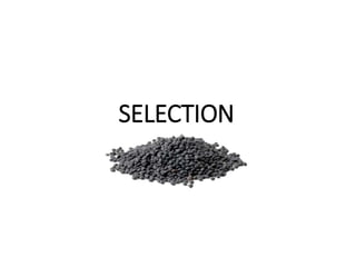 SELECTION
 