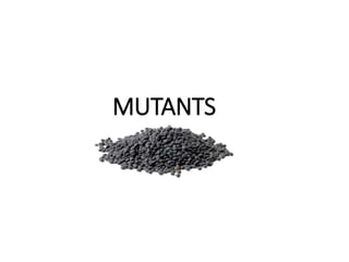 MUTANTS
 
