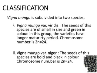 CLASSIFICATION
Vigna mungo is subdivided into two species;
i. Vigna mungo var. viridis : The seeds of this
species are of small in size and green in
colour. In this group, the varieties have
longer maturirty period. Chromosome
number is 2n=24.
ii. Vigna mungo var. niger : The seeds of this
species are bold and black in colour.
Chromosome num,ber is 2n=24.
 