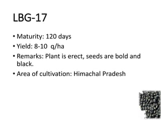 LBG-17
• Maturity: 120 days
• Yield: 8-10 q/ha
• Remarks: Plant is erect, seeds are bold and
black.
• Area of cultivation: Himachal Pradesh
 