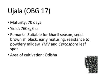 Ujala (OBG 17)
• Maturity: 70 days
• Yield: 760kg/ha
• Remarks: Suitable for kharif season, seeds
brownish black, early maturing, resistance to
powdery mildew, YMV and Cercospora leaf
spot.
• Area of cultivation: Odisha
 