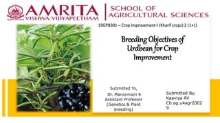 19GPB301 – Crop Improvement-I (Kharif crops) 2 (1+1)
Submitted To,
Dr. Manonmani K
Assistant Professor
(Genetics & Plant
breeding)
Submitted By,
Kaaviya AV
Cb.ag.u4agr2002
9
Breeding Objectives of
Urdbean for Crop
Improvement
 