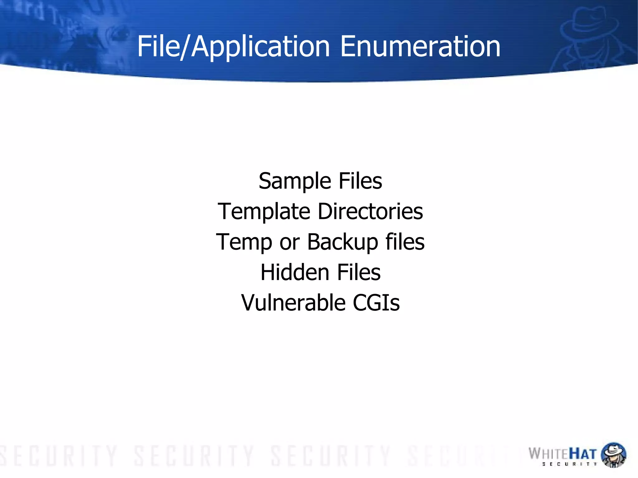 File/Application Enumeration Sample Files Template Directories Temp or Backup files Hidden Files Vulnerable CGIs 