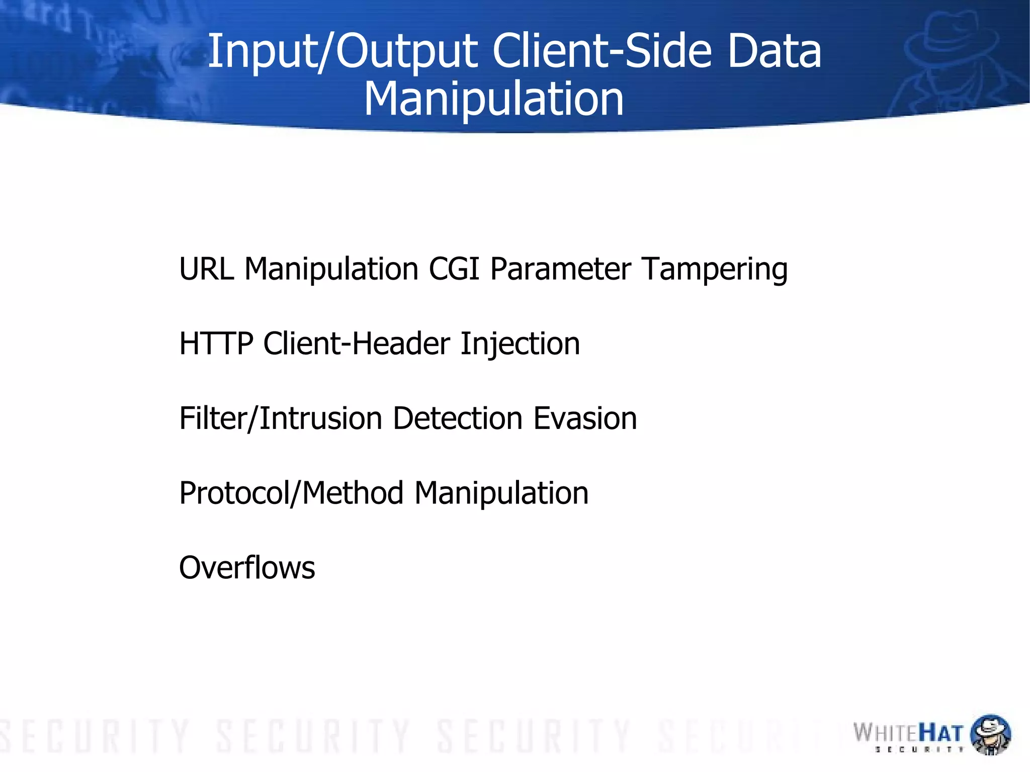 Input/Output Client-Side Data Manipulation URL Manipulation CGI Parameter Tampering  HTTP Client-Header Injection Filter/Intrusion Detection Evasion Protocol/Method Manipulation Overflows 