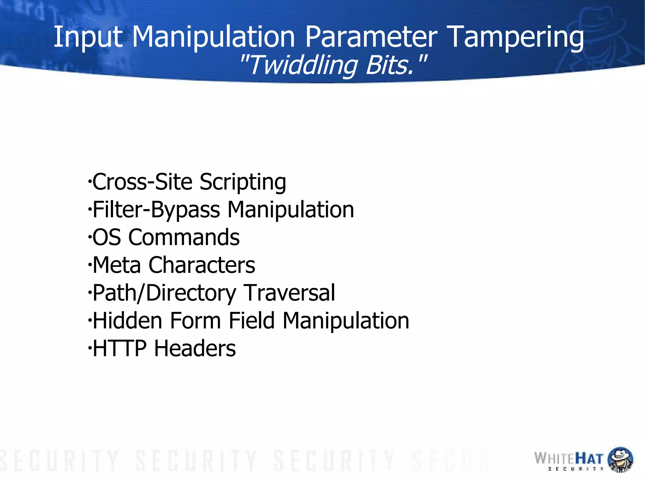 Input Manipulation Parameter Tampering "Twiddling Bits." Cross-Site Scripting Filter-Bypass Manipulation OS Commands Meta Characters Path/Directory Traversal Hidden Form Field Manipulation HTTP Headers 