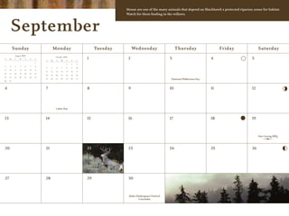 Moose are one of the many animals that depend on Blackhawk’s protected riparian zones for habitat.
                                                                                     Watch for them feeding in the willows.



      September
          Sunday                            Monday                         Tuesday        Wednesday                     Thursday                  Friday                  Saturday
           August 2009
                                             October 2009
S    M    T    W     T   F    S
                                   S    M    T    W     T   F    S
                                                                      1               2                            3                         4                       5
                              1
                                                        1   2    3
2    3     4    5    6   7    8
                                   4    5    6    7     8   9    10
9    10   11   12   13   14   15
                                   11   12   13   14   15   16   17
16   17   18   19   20   21   22
                                   18   19   20   21   22   23   24
23   24   25   26   27   28   29
                                   25   26   27   28   29   30   31                                                National Wilderness Day
30   31



6                                  7                                  8               9                            10                        11                      12



                                             Labor Day



13                                 14                                 15              16                           17                        18                      19



                                                                                                                                                                          Star Gazing BBQ



20                                 21                                 22              23                           24                        25                      26



                                                                      First Day
                                                                      of Autumn


27                                 28                                 29              30



                                                                                      Idaho Shakespeare Festival
                                                                                              Concludes
 