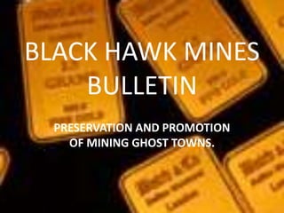 BLACK HAWK MINES
    BULLETIN
  PRESERVATION AND PROMOTION
    OF MINING GHOST TOWNS.
 