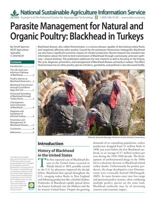 A project of the National Center for Appropriate Technology                          1-800-346-9140 • www.attra.ncat.org


Parasite Management for Natural and
Organic Poultry: Blackhead in Turkeys
By Terrell Spencer,                     Blackhead disease, also called Histomoniasis, is a serious disease capable of decimating turkey flocks
NCAT Agriculture                        and negatively affecting other poultry. Caused by the protozoan Histomonas meleagridis, Blackhead
Specialist                              can also have a significant economic impact on chicken production. Recent research has revealed new
© 2010 NCAT                             information about the bird-to-bird transmission of Blackhead through a previously unknown path-
                                        way—cloacal drinking. This publication addresses the new research as well as focusing on the history,
Contents                                life cycle, diagnosis, prevention, and management of Blackhead disease, primarily in turkeys. The effect
Introduction ......................1    Histomoniasis has on other poultry species (chickens, gamebirds, and peafowl) is also discussed briefly.
The Life Cycle and
Infectious Pathway
of Blackhead......................2
Poultry Species as
Blackhead Reservoirs .....2
Blackhead Transmission
through Cecal Worm
Eggs and Soil.....................2
Horizontal Spreading
of Blackhead through
Turkey Flocks.....................3
Oral Ingestion
and Contraction
of Blackhead......................4
Diagnosis and
Symptoms of
Infected Turkeys ..............4
Prevention and
Management of
Blackhead Disease ..........5
Conclusion .........................8
References .........................8

                                                                                        Photo by Jeannette Beranger, American Livestock Breeds Conservancy.

                                                                                              demands of an expanding population, turkey
                                        Introduction                                          production dropped from 11 million birds in
                                                                                              1890, just years before the first Blackhead out-
                                        History of Blackhead                                  break, to an average of 3.7 million turkeys per
The National Sustainable
                                        in the United States                                  year during the 1910–1920 decade. The devel-


                                        T
Agriculture Information Service,                he first reported case of Blackhead dis-      opment of antihistomonal drugs in the 1960s
ATTRA (www.attra.ncat.org),
was developed and is managed                    ease in the United States occurred in         led to a dramatic decrease in Blackhead-related
by the National Center for
Appropriate Technology (NCAT).                  Rhode Island in 1893, possibly carried        turkey deaths. Unfortunately for poultry pro-
The project is funded through           to the U.S. by pheasants imported the decade          ducers, the drugs developed to treat Histomo-
a cooperative agreement with
the United States Department            before. Blackhead then spread throughout the          niasis were eventually banned (McDougald,
of Agriculture’s Rural Business-
Cooperative Service. Visit the
                                        U.S., ravaging turkey flocks in New England           2005). As more farmers enter into free-range
NCAT website (www.ncat.org/             and following production like a faithful shadow.      and pastured-poultry systems, often combining
sarc_current.php) for
more information on                     Outbreaks of Blackhead rapidly spread down            multiple poultry species on the same land,
our other sustainable
agriculture and
                                        the Eastern Seaboard, into the Midwest and the        Blackhead outbreaks may be of increasing
energy projects.                        far western United States. Despite the growing        concern and economic impact.
 