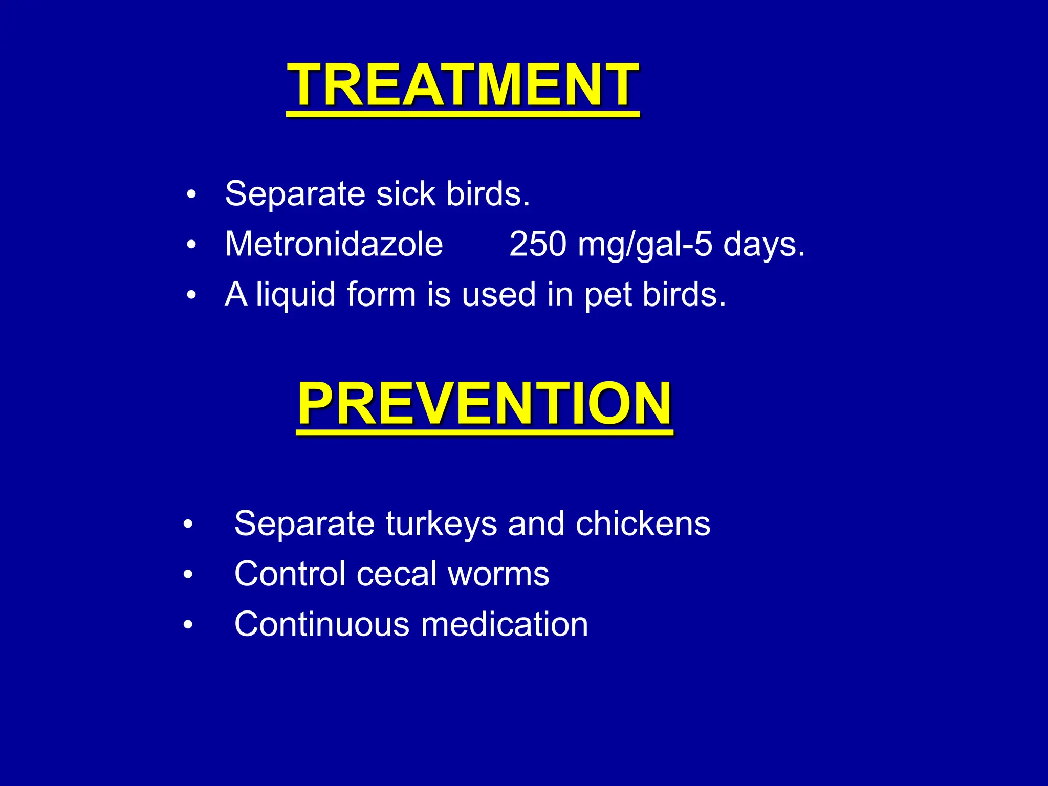 TREATMENT
• Separate sick birds.
• Metronidazole 250 mg/gal-5 days.
• A liquid form is used in pet birds.
PREVENTION
• Separate turkeys and chickens
• Control cecal worms
• Continuous medication
 