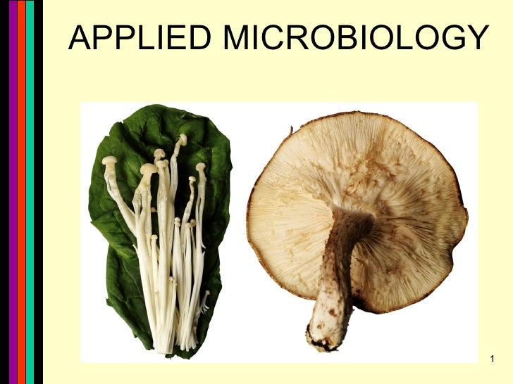 APPLIED MICROBIOLOGY