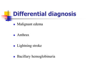 Differential diagnosis
 Malignant edema
 Anthrax
 Lightning stroke
 Bacillary hemoglobinuria
 