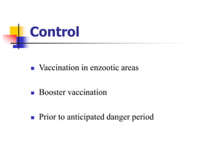 Control
 Vaccination in enzootic areas
 Booster vaccination
 Prior to anticipated danger period
 