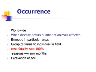 Occurrence
• Worldwide
• When disease occurs number of animals affected
• Enzootic in particular areas
• Group of farms to individual in field
• case fatality rate 100%
• seasonal—warm months
• Excavation of soil
 
