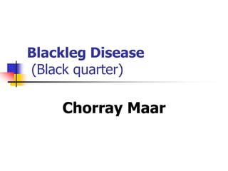 Blackleg Disease
(Black quarter)
Chorray Maar
 
