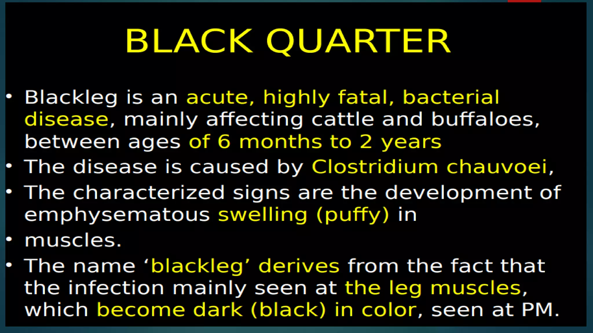 Black leg in ruminants. | PDF