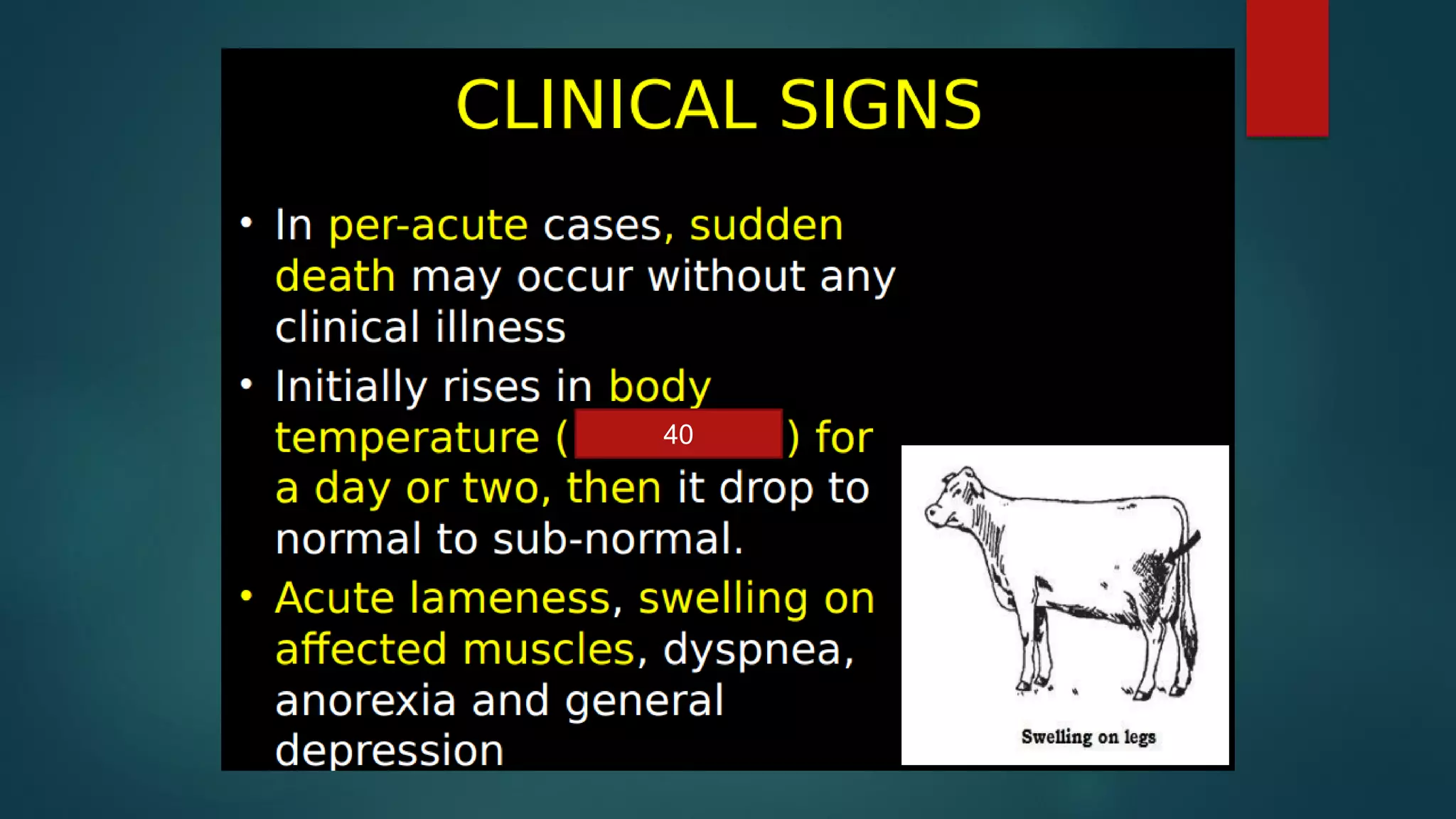 Black leg in ruminants. | PDF