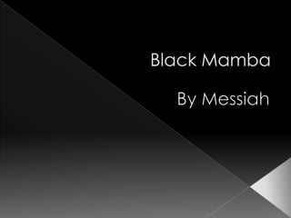 Black Mamba  By Messiah 