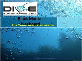 Black Manta Liveaboard
http://www.diveadventuresasia.com
http://www.diveadventuresasia.com
 
