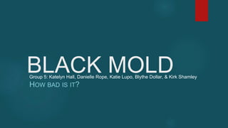 BLACK MOLD
HOW BAD IS IT?
Group 5: Katelyn Hall, Danielle Rope, Katie Lupo, Blythe Dollar, & Kirk Shamley
 