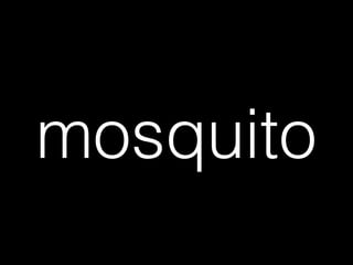 mosquito
 