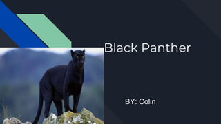 Black Panther
BY: Colin
 