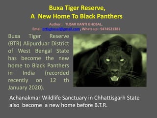 Buxa Tiger Reserve
(BTR) Alipurduar District
of West Bengal State
has become the new
home to Black Panthers
in India (recorded
recently on 12 th
January 2020).
Buxa Tiger Reserve,
A New Home To Black Panthers
Achanakmar Wildlife Sanctuary in Chhattisgarh State
also become a new home before B.T.R.
Author : TUSAR KANTI GHOSAL,
Emal: drtkghosal@gmail.com, Whats up : 9474521381
 