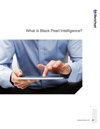 What is Black Pearl Intelligence?




                                                           1




                              blackpearlintelligence.com
 