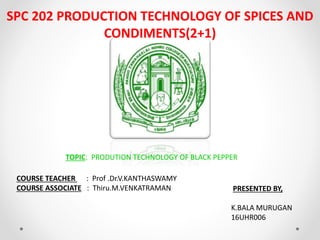 SPC 202 PRODUCTION TECHNOLOGY OF SPICES AND
CONDIMENTS(2+1)
TOPIC: PRODUTION TECHNOLOGY OF BLACK PEPPER
COURSE TEACHER : Prof .Dr.V.KANTHASWAMY
COURSE ASSOCIATE : Thiru.M.VENKATRAMAN PRESENTED BY,
K.BALA MURUGAN
16UHR006
 