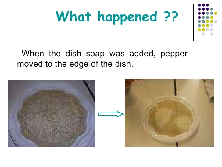 Black pepper and dish soap experiments2