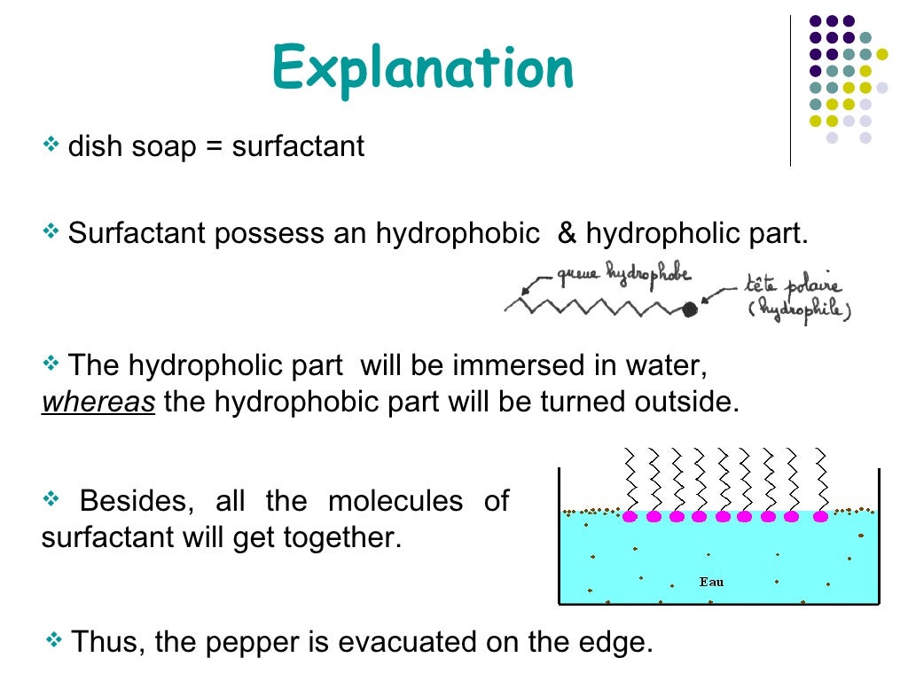 Black pepper and dish soap experiments2
