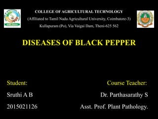 COLLEGE OF AGRICULTURAL TECHNOLOGY
(Affiliated to Tamil Nadu Agricultural University, Coimbatore-3)
Kullapuram (Po), Via Vaigai Dam, Theni-625 562
DISEASES OF BLACK PEPPER
Student: Course Teacher:
Sruthi A B Dr. Parthasarathy S
2015021126 Asst. Prof. Plant Pathology.
 