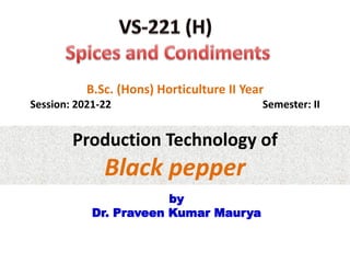 Production Technology of
Black pepper
by
Dr. Praveen Kumar Maurya
B.Sc. (Hons) Horticulture II Year
Session: 2021-22 Semester: II
 